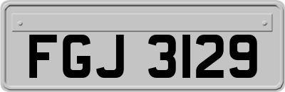 FGJ3129