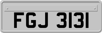 FGJ3131