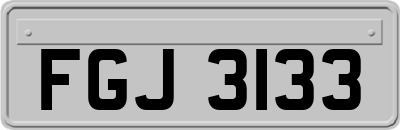 FGJ3133