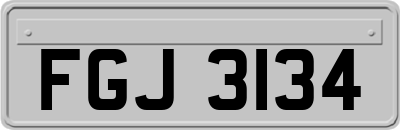 FGJ3134