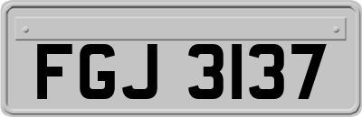 FGJ3137