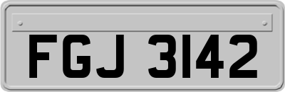 FGJ3142