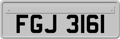 FGJ3161