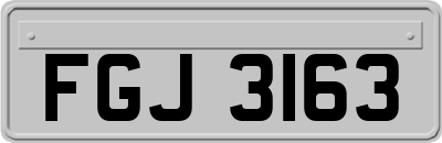 FGJ3163