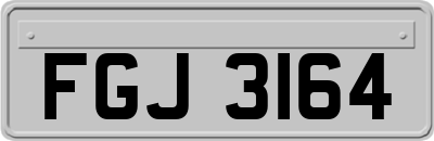 FGJ3164