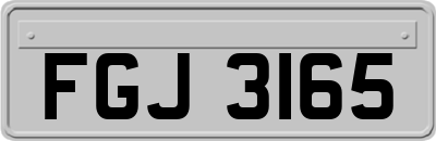FGJ3165
