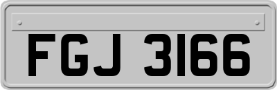FGJ3166
