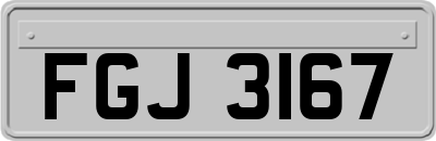 FGJ3167