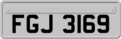 FGJ3169
