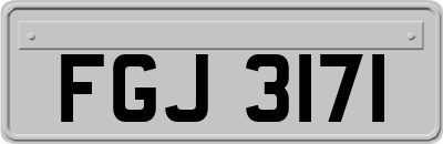 FGJ3171