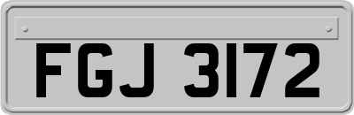 FGJ3172