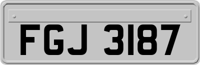 FGJ3187
