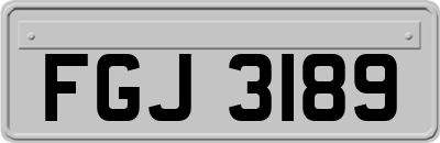 FGJ3189