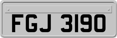 FGJ3190