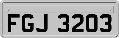 FGJ3203