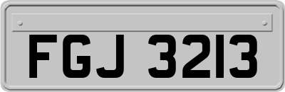 FGJ3213