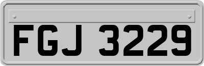 FGJ3229