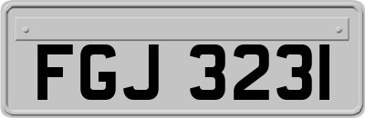 FGJ3231