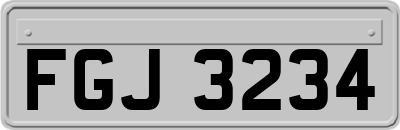 FGJ3234