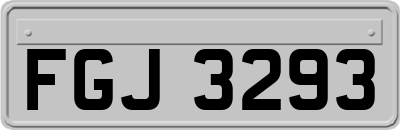 FGJ3293