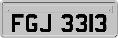 FGJ3313