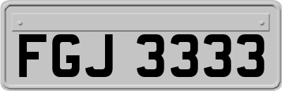FGJ3333
