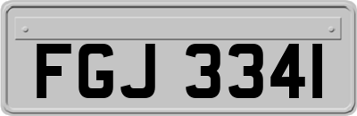 FGJ3341