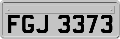FGJ3373