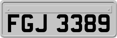 FGJ3389