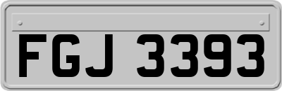 FGJ3393