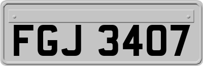 FGJ3407