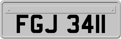 FGJ3411