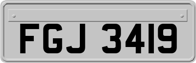 FGJ3419