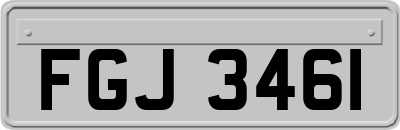FGJ3461