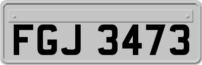 FGJ3473