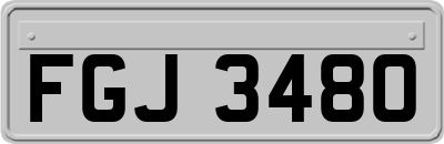 FGJ3480