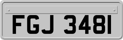 FGJ3481