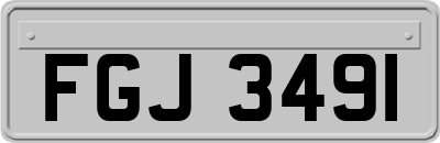 FGJ3491