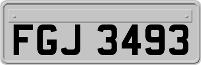 FGJ3493