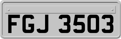 FGJ3503