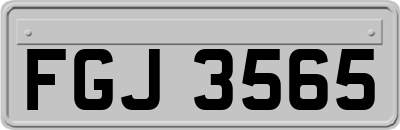 FGJ3565
