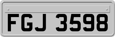 FGJ3598