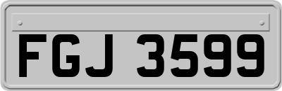 FGJ3599