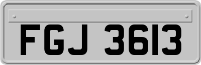 FGJ3613