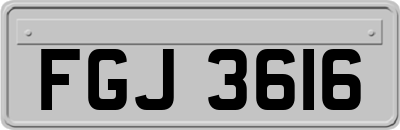 FGJ3616