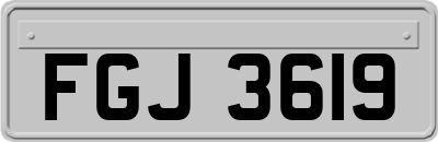 FGJ3619