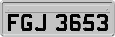 FGJ3653
