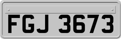 FGJ3673