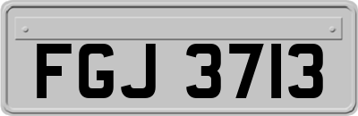 FGJ3713