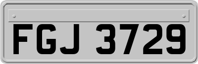 FGJ3729
